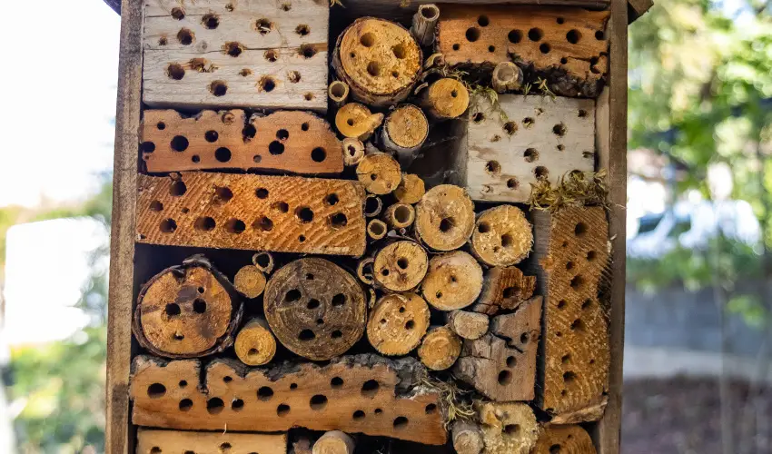 4 vszak Hegyihotel Mtrahza - Szilveszter (min. 2 j)