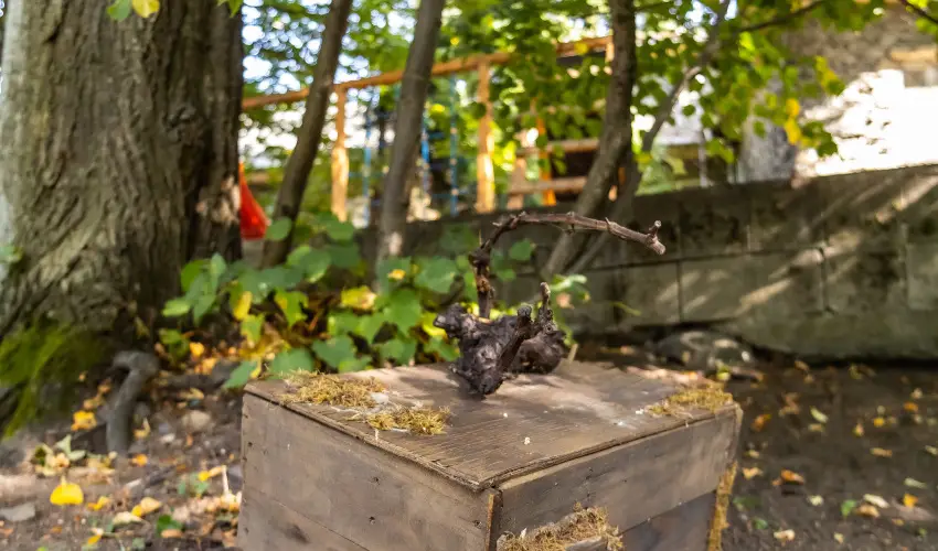 4 vszak Hegyihotel Mtrahza - Szilveszter (min. 2 j)