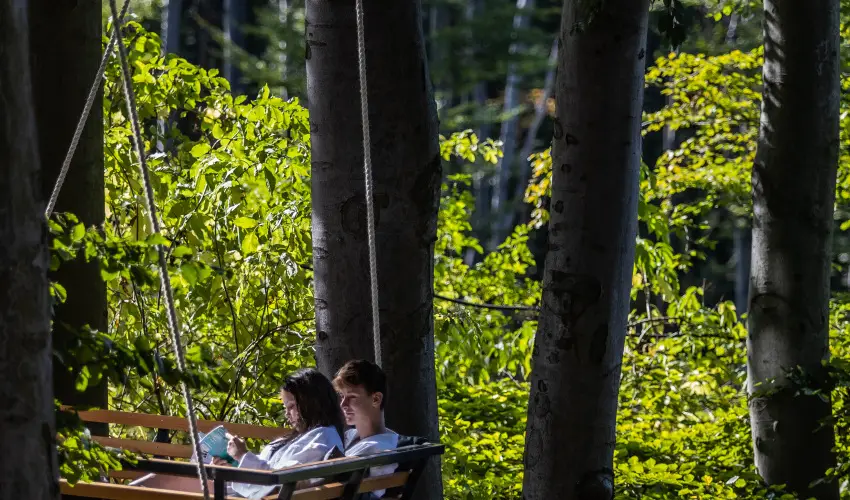 4 vszak Hegyihotel Mtrahza - Szilveszter (min. 2 j)