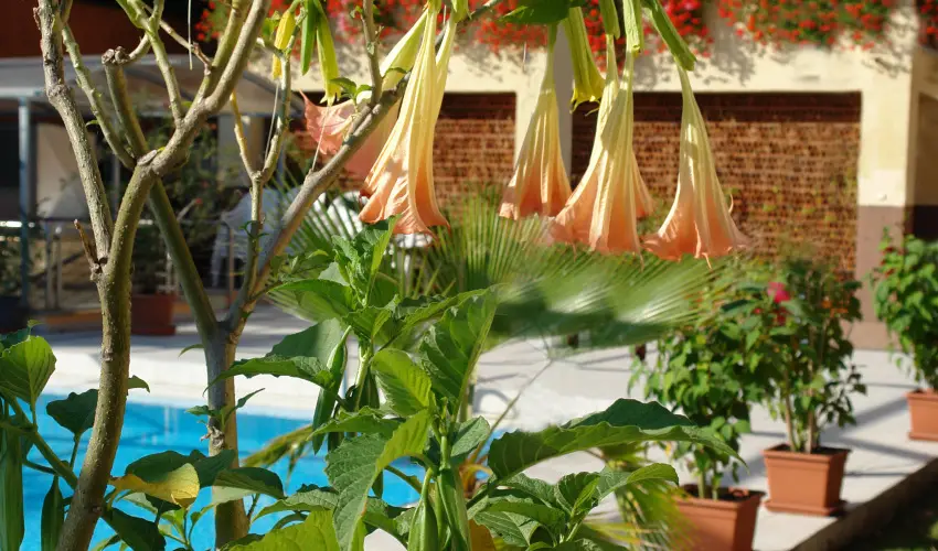 Alfa Hotel Miskolctapolca - Szilveszter (min. 3 j)