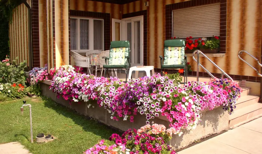 Amlia Apartman Gyula - Szilveszter (min. 2 j)