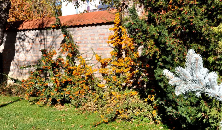 Ametiszt Hotel Harkny - Szilveszter Harknyban (min. 3 j)