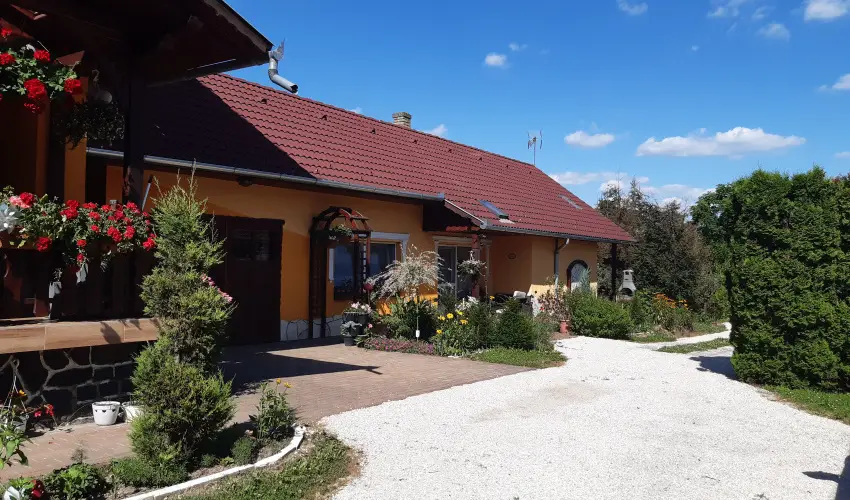 Andrea Vendghz Kehidakustny - Szilveszter (min. 3 j)