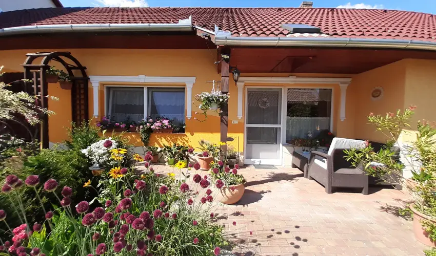 Andrea Vendghz Kehidakustny - Szilveszter (min. 3 j)