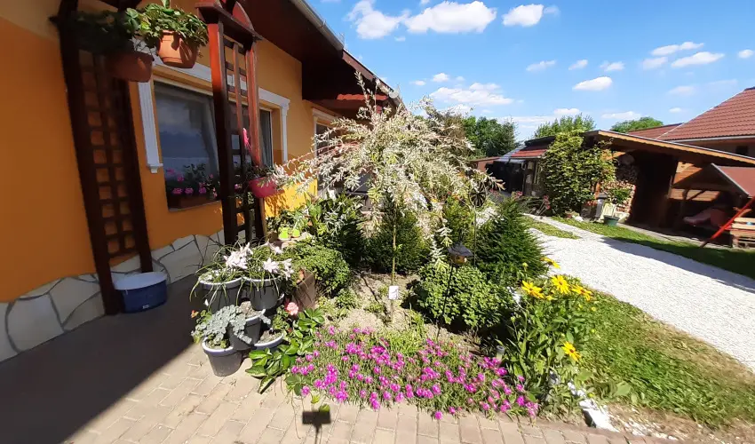 Andrea Vendghz Kehidakustny - Szilveszter (min. 3 j)