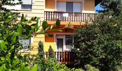 Andrea Vendghz Kehidakustny