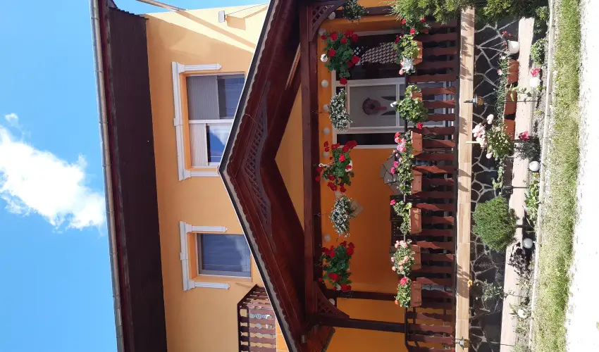 Andrea Vendghz Kehidakustny - Szilveszter (min. 3 j)