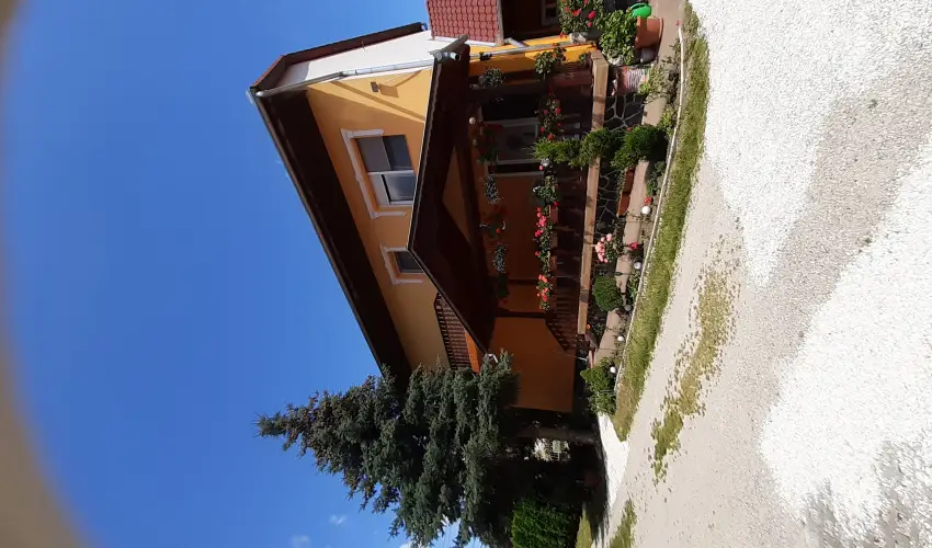 Andrea Vendghz Kehidakustny - Szilveszter (min. 3 j)