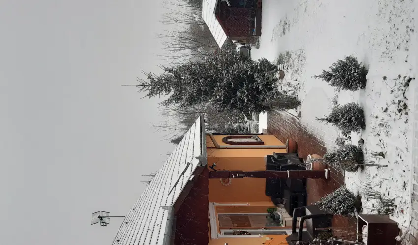 Andrea Vendghz Kehidakustny - Szilveszter (min. 3 j)