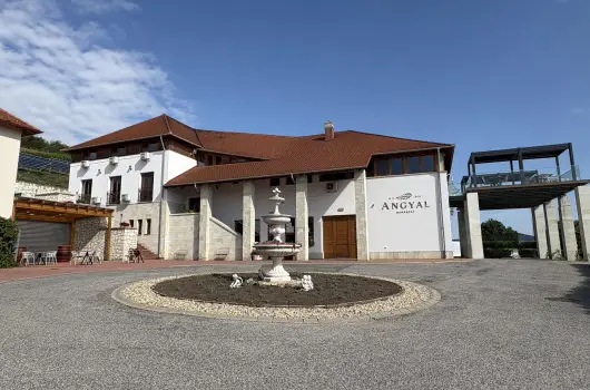 Angyal Bor�szat - Szilveszter (min. 2 �j)