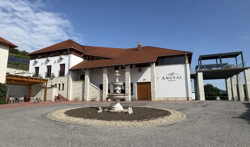 Angyal Bor�szat R�tka - Szilveszter (min. 2 �j)