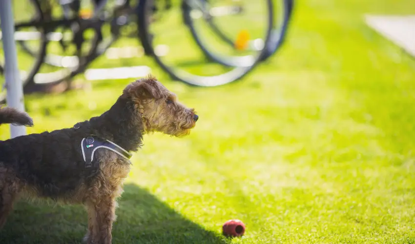 Apartman Szanyi Bk, Bkfrd - Szilveszter (min. 3 j)