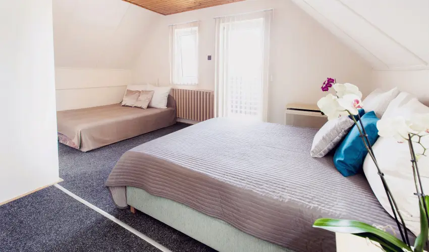 Apartman Szanyi Bk, Bkfrd - Szilveszter (min. 3 j)