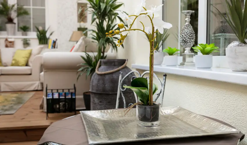 Aquasol Resort Mosonmagyarvr - Szilveszter