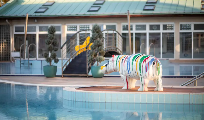 Aquasol Resort Mosonmagyarvr - Szilveszter