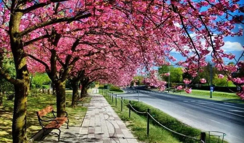 Arany Apartmanhz Zalagyngye  Zalakaros - Szilveszter (min. 2 j)