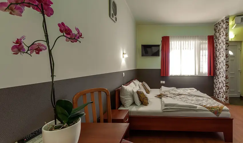 Aranypatk� Panzi� Gy�r�jbar�t - Szilveszter