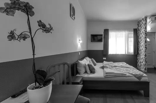 Aranypatk� Panzi� - Szilveszter