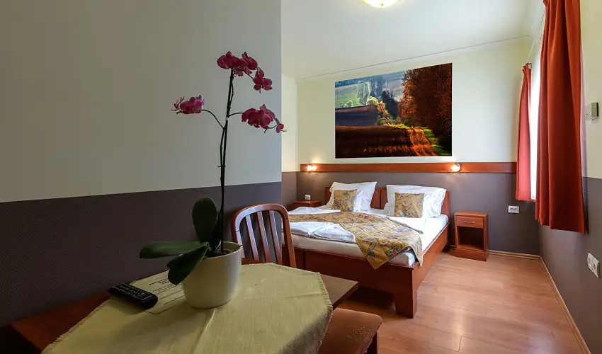 Aranypatk� Panzi� Gy�r�jbar�t - Szilveszter