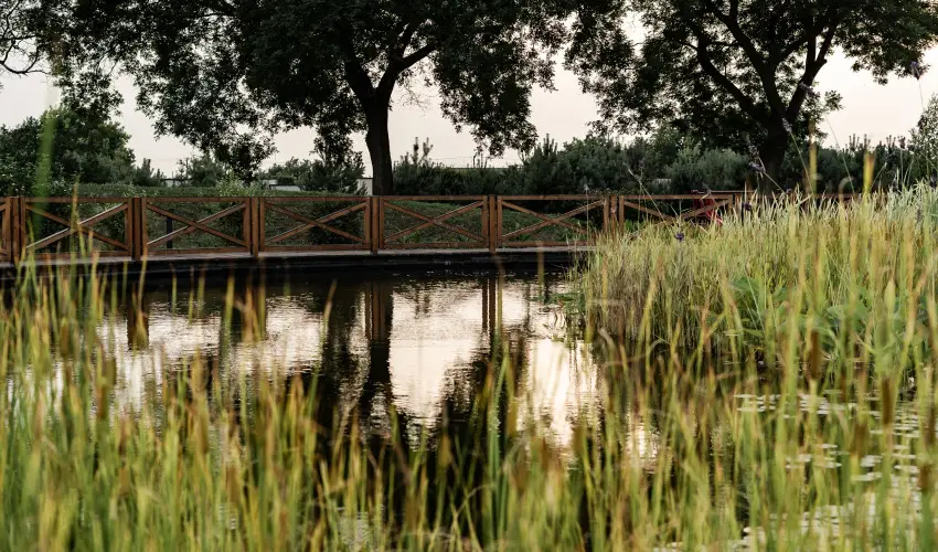 Arcanum Hotel Bkscsaba - Szilveszter (min. 3 j)