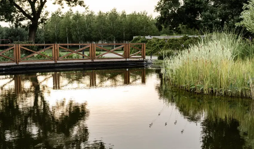 Arcanum Hotel Bkscsaba - Szilveszter (min. 3 j)