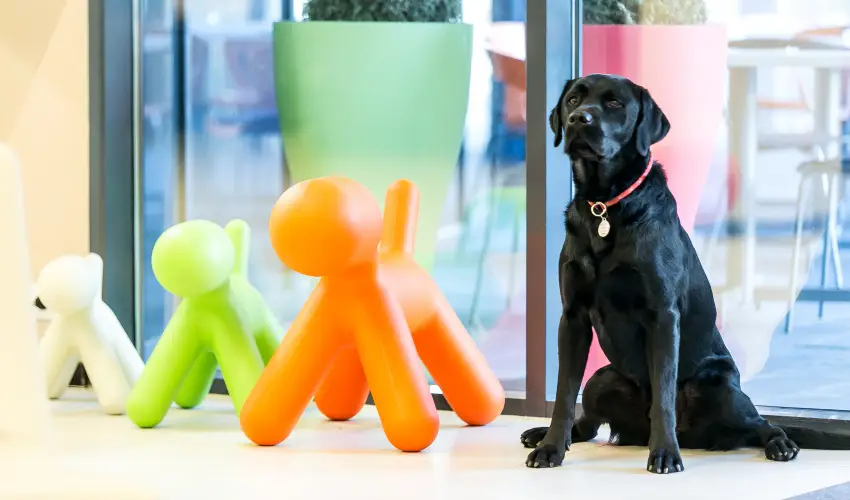 Art Hotel Szeged Szeged - Szilveszter (min. 3 j)