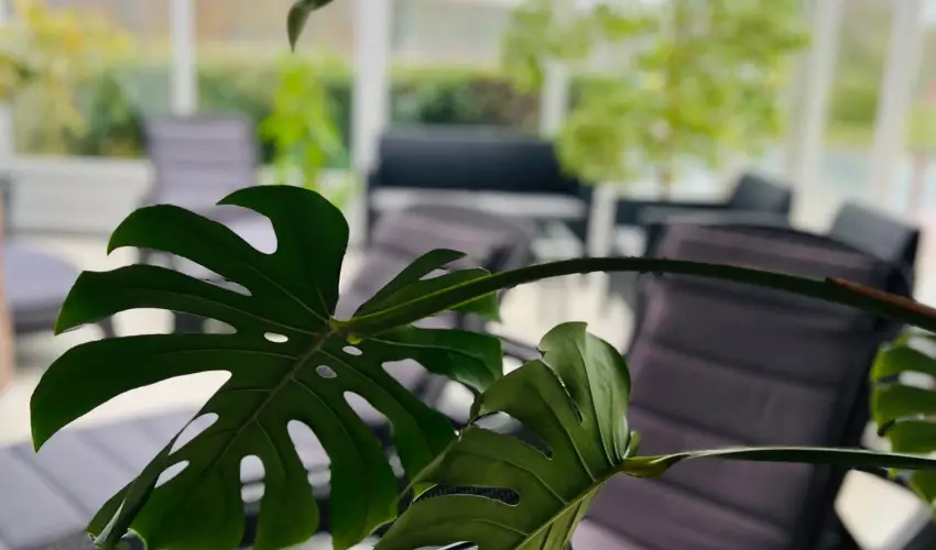 Art Hotel Zalakaros - Szilveszter (min. 3 �j)