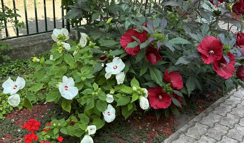 Aventurin House Rvflp - Szilveszter (min. 2 j)