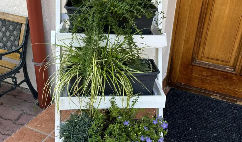 Aventurin House Rvflp - Szilveszter (min. 2 j)