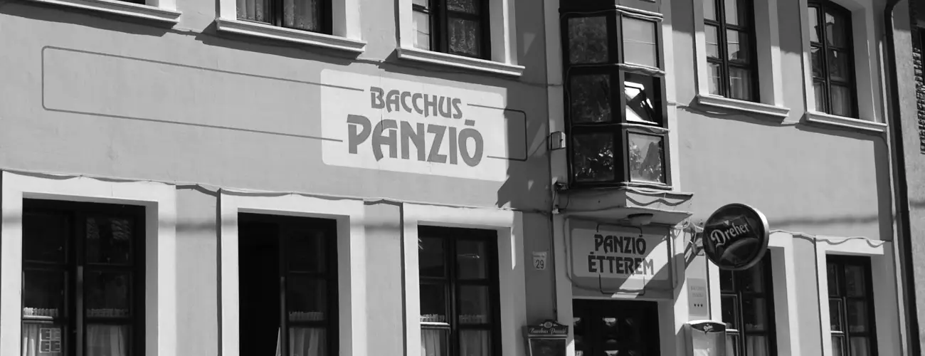 Bacchus Panzi Eger - Szilveszter