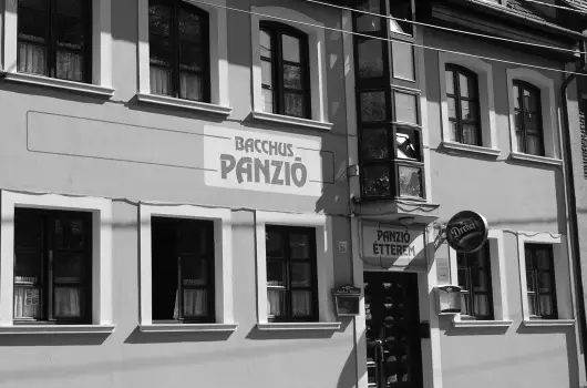 Bacchus Panzi - Szilveszter