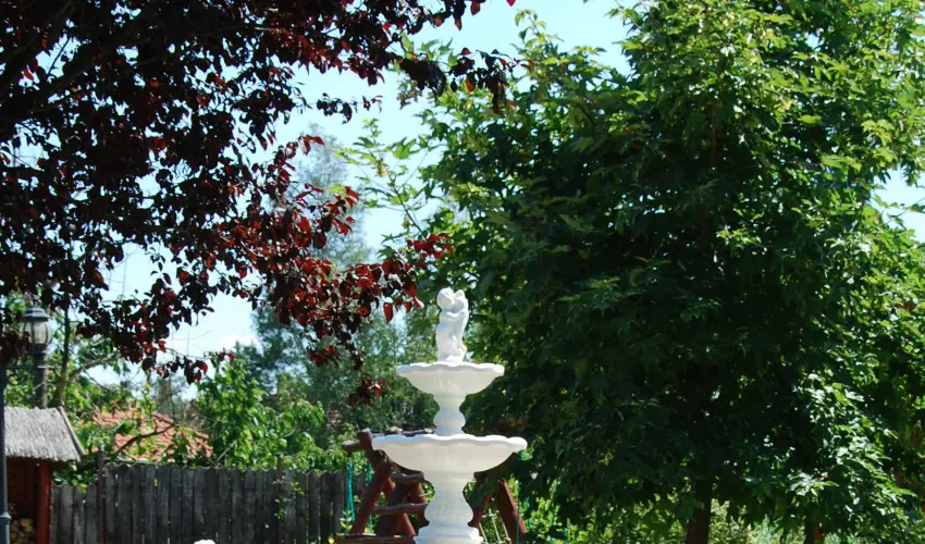 Bacchus Panzi Eger - Szilveszter