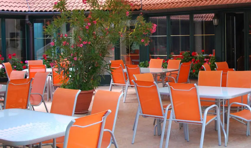 Bacchus Panzi Eger - Szilveszter