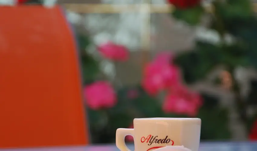 Bacchus Panzi Eger - Szilveszter