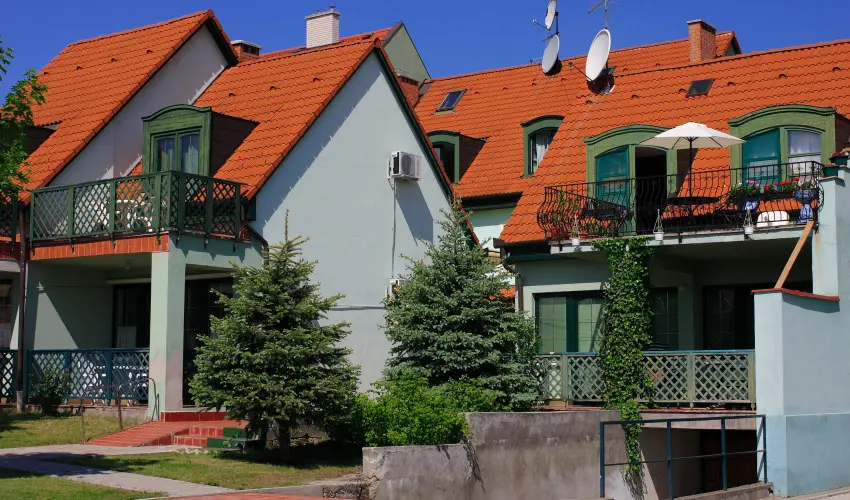 Bacchus Panzi Eger - Szilveszter