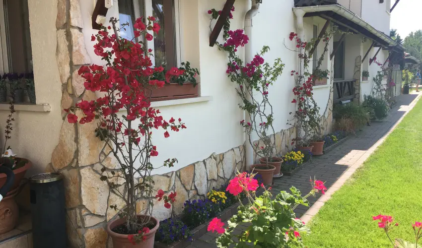 Bagolyvr Inrcs Inrcs - Szilveszter