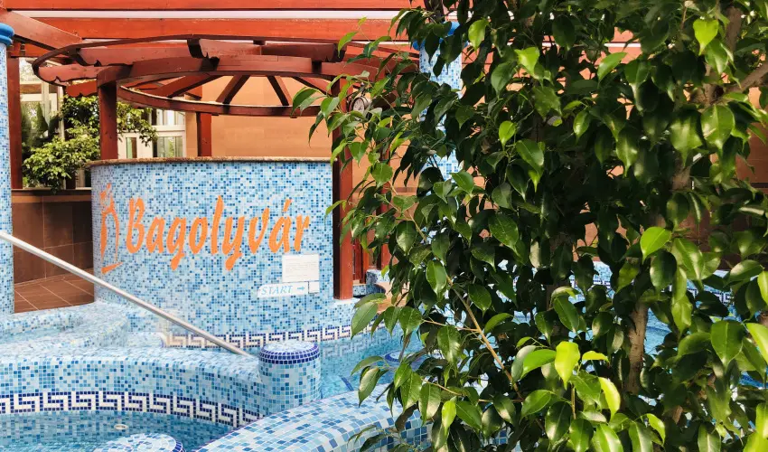 Bagolyvr Inrcs Inrcs - Szilveszter