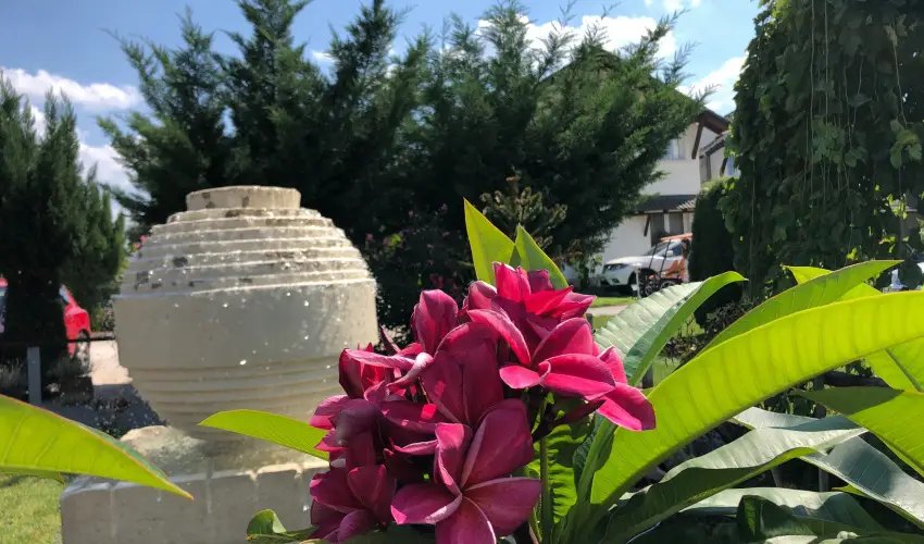 Bagolyvr Inrcs Inrcs - Szilveszter