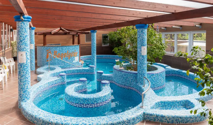 Bagolyvr Inrcs Inrcs - Szilveszter