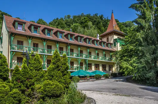 Hotel Bakony - Szilveszter