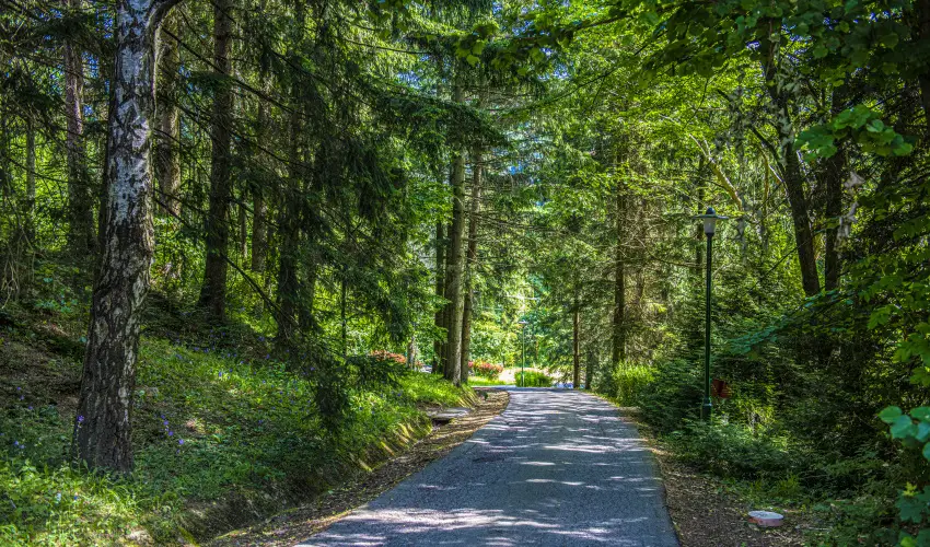Hotel Bakony Bakonybl - Szilveszter (min. 2 j)