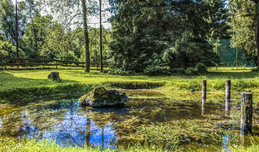 Hotel Bakony Bakonybl - Szilveszter (min. 2 j)