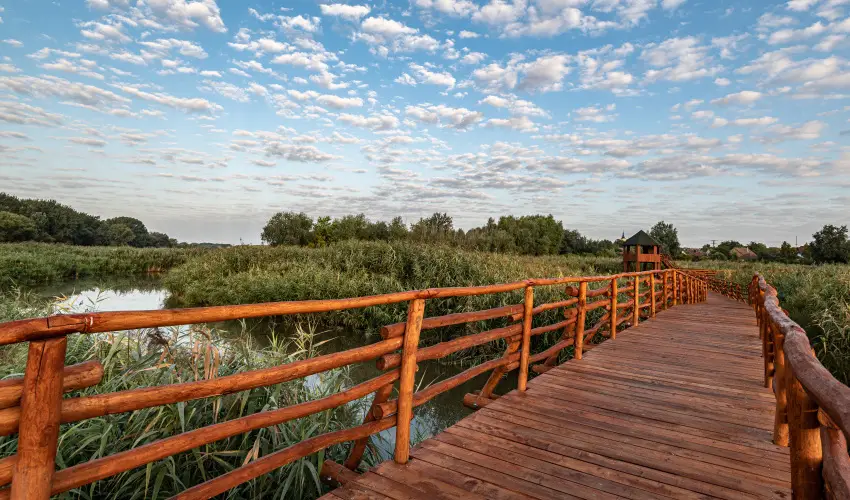 Barack Thermal Apartmanok Tiszakcske - Szilveszter