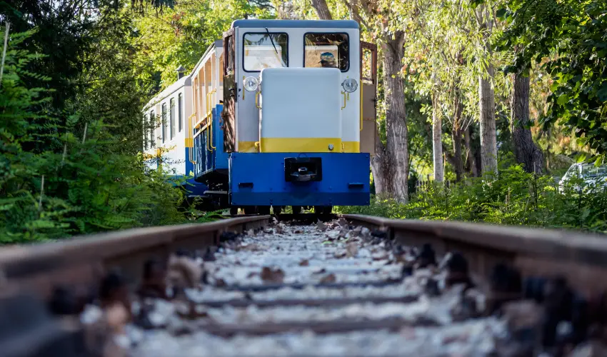 Barack Thermal Apartmanok Tiszakcske - Szilveszter