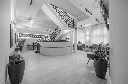 Baross City Hotel - Szilveszter