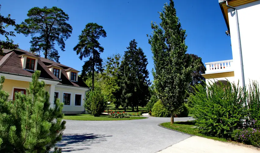 Batthyny Kastlyszll Zalacsny - Szilveszter