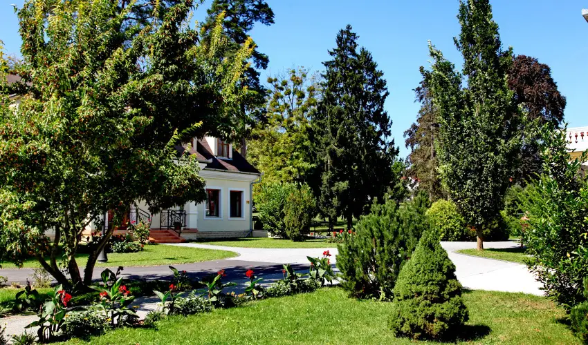 Batthyny Kastlyszll Zalacsny - Szilveszter