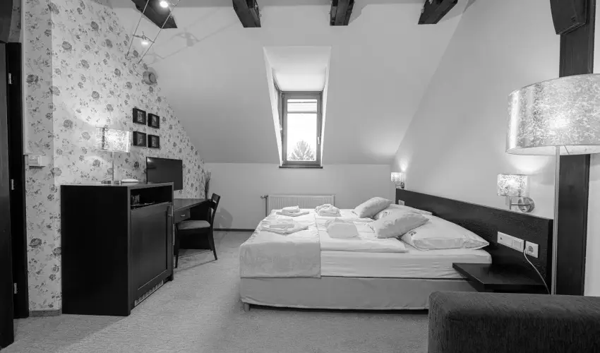 Bazilika alatti Panzi Esztergom - Szilveszter