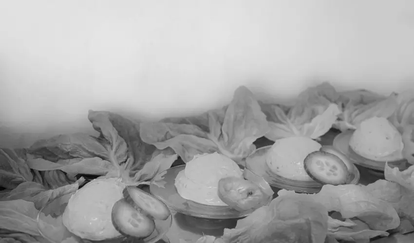 Bazilika alatti Panzi Esztergom - Szilveszter