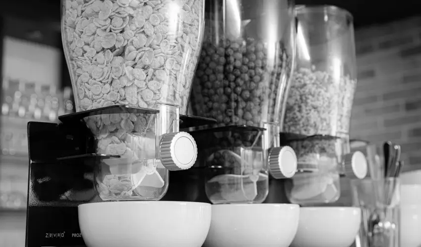 Bazilika alatti Panzi Esztergom - Szilveszter